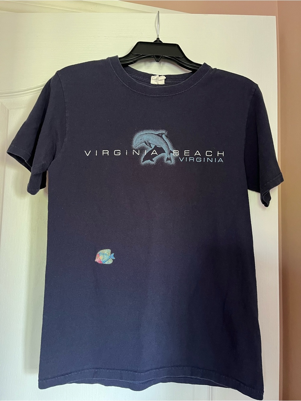 Anvil Navy Virginia Beach Dolphin & Fish Short Sleeve Tee